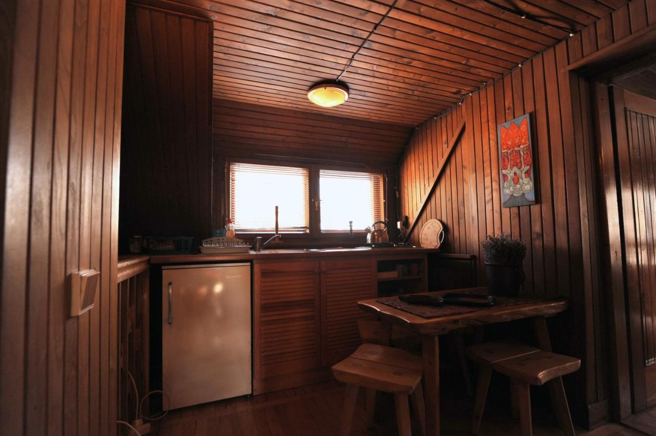 Dom Pod Skocznia Apartment Закопане Екстериор снимка