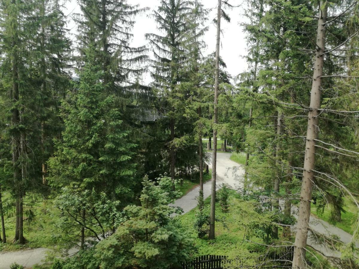 Dom Pod Skocznia Apartment Закопане Екстериор снимка