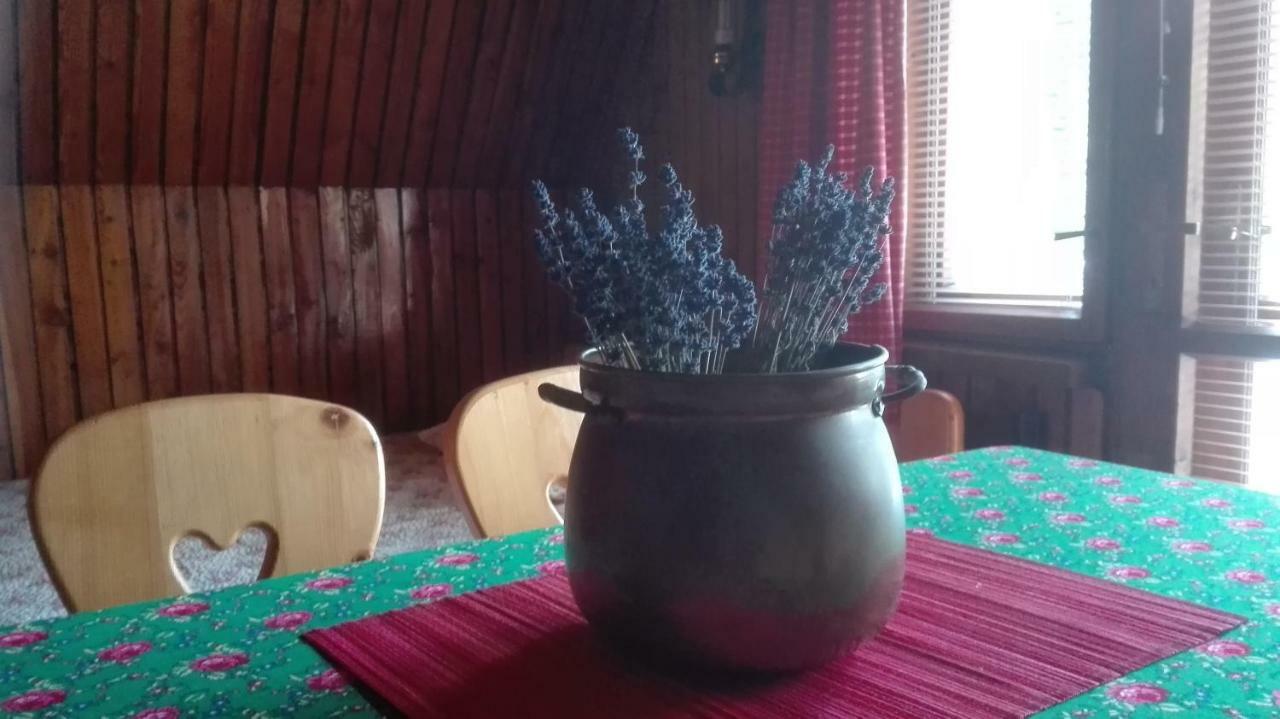 Dom Pod Skocznia Apartment Закопане Екстериор снимка