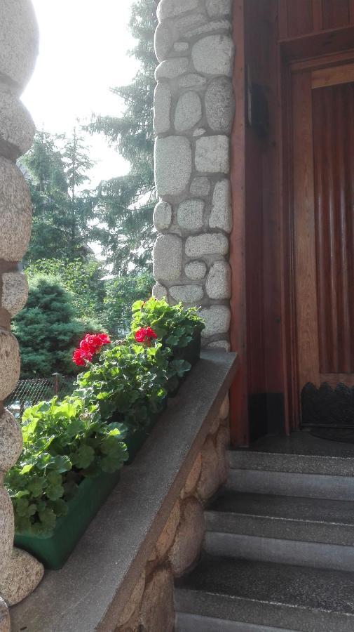 Dom Pod Skocznia Apartment Закопане Екстериор снимка